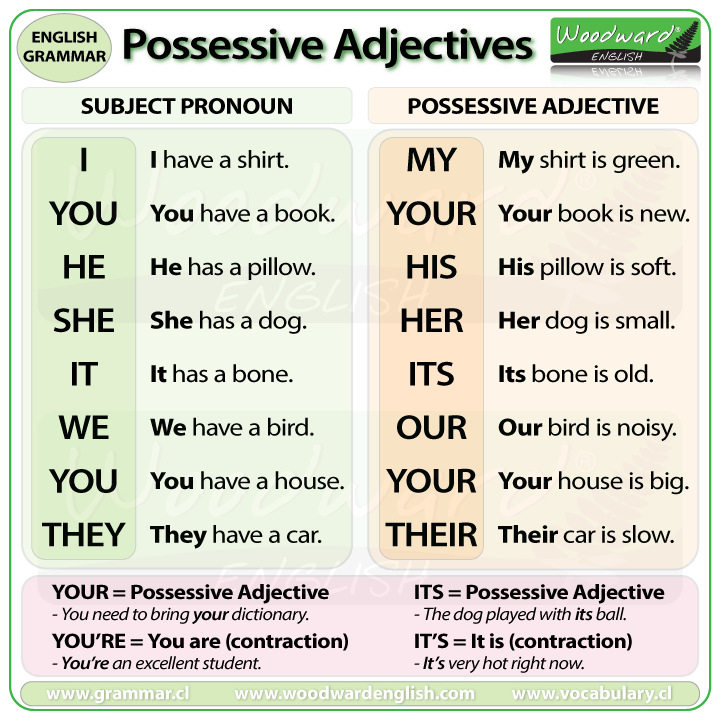 Possessive Adjectives And Possessive Pronouns Exercise Help Teacher